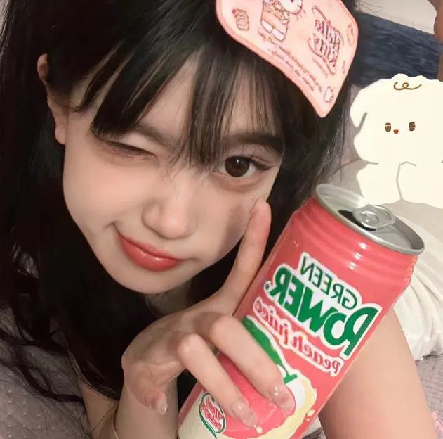 文豪野犬第二季